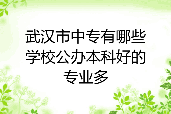 武汉市中专有哪些学校公办本科好的专业多