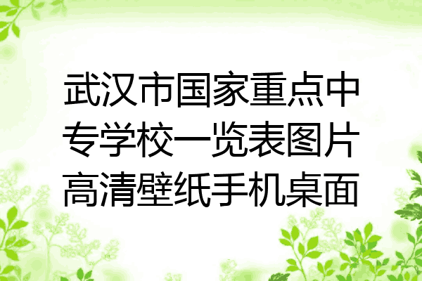 武汉市国家重点中专学校一览表图片高清壁纸手机桌面