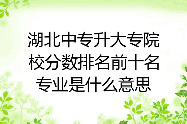 湖北中专升大专院校分数排名前十名专业是什么意思