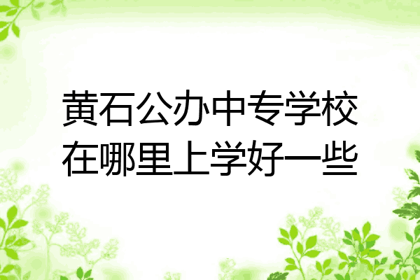 黄石公办中专学校在哪里上学好一些