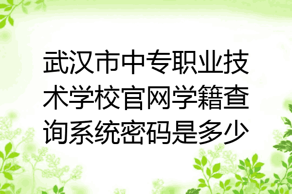 武汉市中专职业技术学校官网学籍查询系统密码是多少
