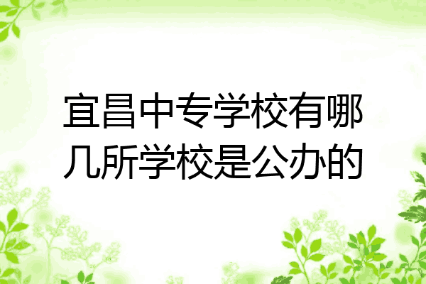 宜昌中专学校有哪几所学校是公办的