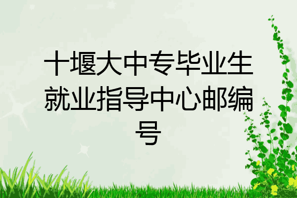 十堰大中专毕业生就业指导中心邮编号