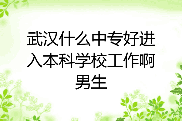 武汉什么中专好进入本科学校工作啊男生