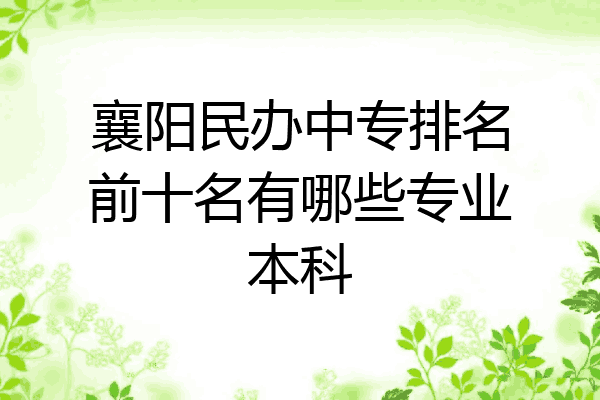 襄阳民办中专排名前十名有哪些专业本科