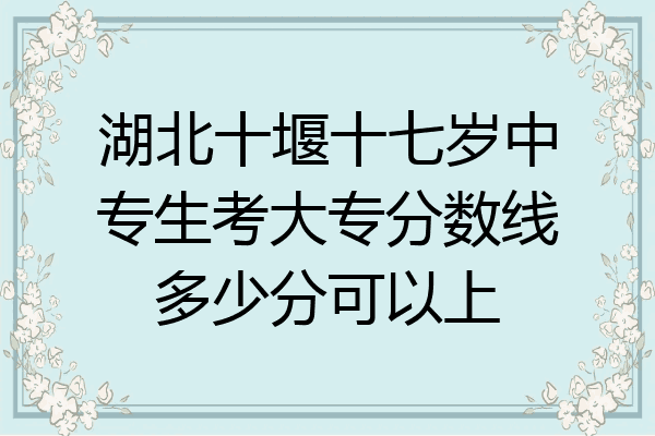 湖北十堰十七岁中专生考大专分数线多少分可以上