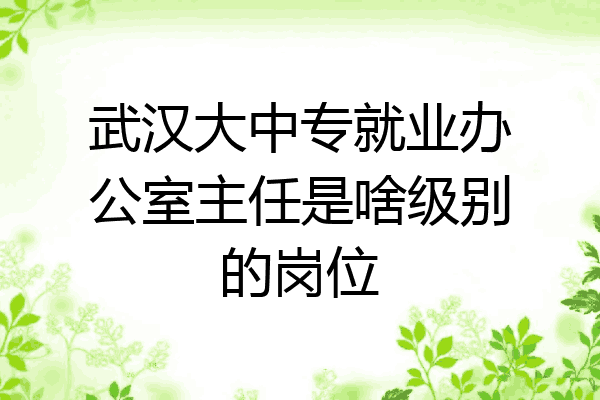 武汉大中专就业办公室主任是啥级别的岗位