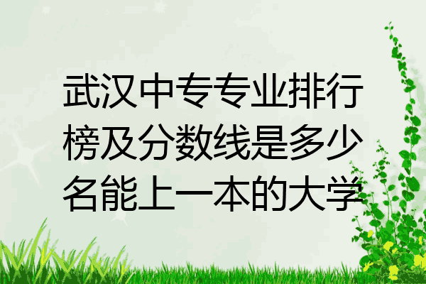 武汉中专专业排行榜及分数线是多少名能上一本的大学