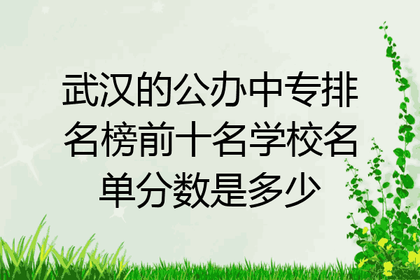 武汉的公办中专排名榜前十名学校名单分数是多少