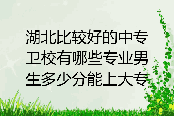 湖北比较好的中专卫校有哪些专业男生多少分能上大专