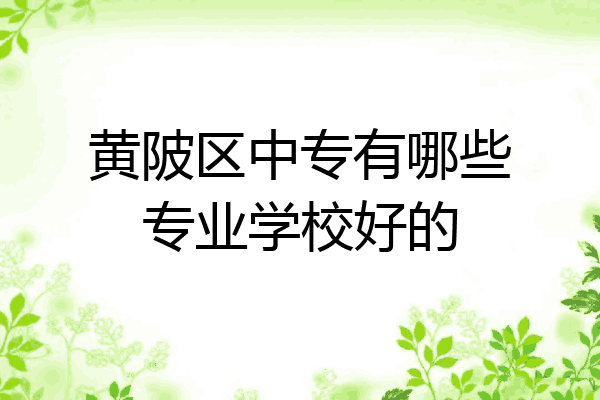 黄陂区中专有哪些专业学校好的