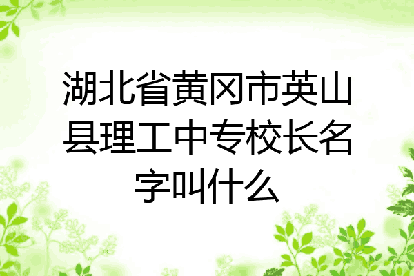 湖北省黄冈市英山县理工中专校长名字叫什么