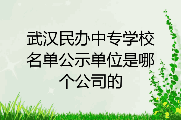 武汉民办中专学校名单公示单位是哪个公司的