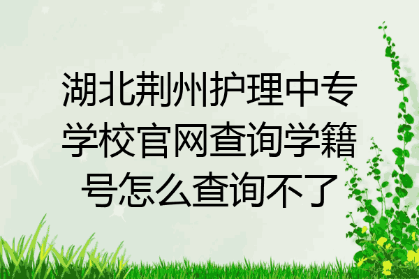 湖北荆州护理中专学校官网查询学籍号怎么查询不了