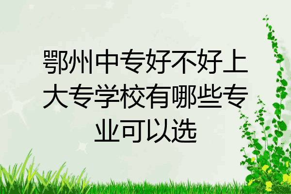鄂州中专好不好上大专学校有哪些专业可以选