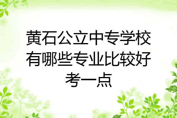 黄石公立中专学校有哪些专业比较好考一点