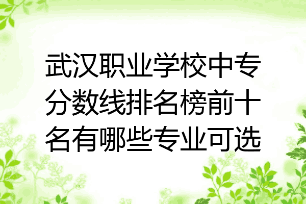 武汉职业学校中专分数线排名榜前十名有哪些专业可选