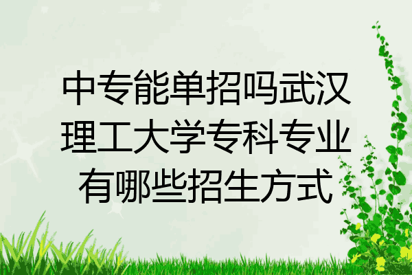 中专能单招吗武汉理工大学专科专业有哪些招生方式