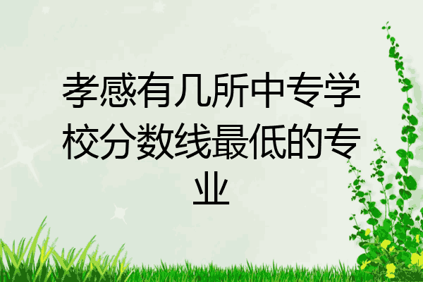 孝感有几所中专学校分数线最低的专业