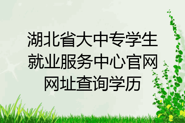 湖北省大中专学生就业服务中心官网网址查询学历