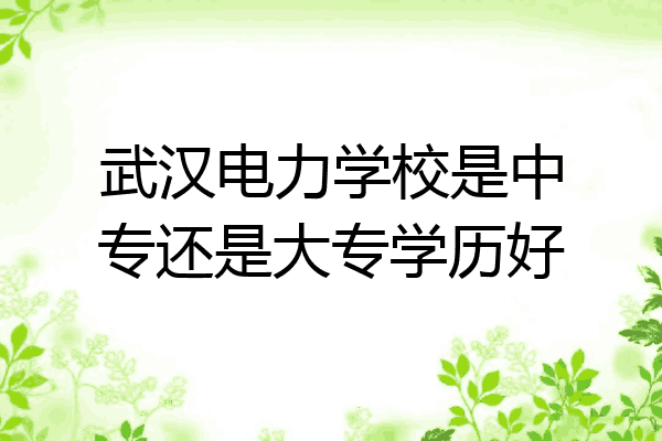 武汉电力学校是中专还是大专学历好