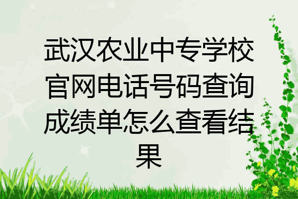 武汉农业中专学校官网电话号码查询成绩单怎么查看结果