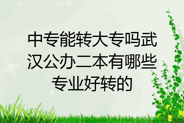 中专能转大专吗武汉公办二本有哪些专业好转的