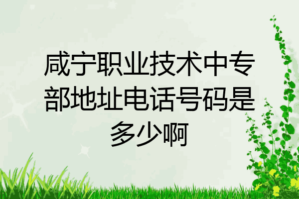 咸宁职业技术中专部地址电话号码是多少啊