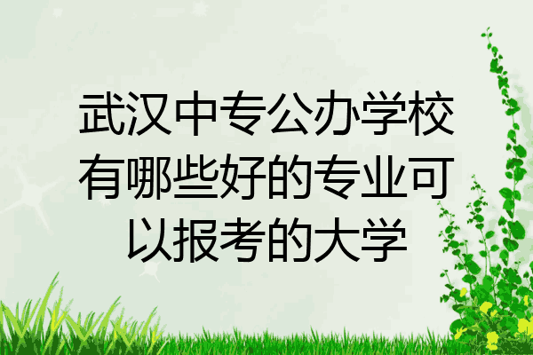 武汉中专公办学校有哪些好的专业可以报考的大学
