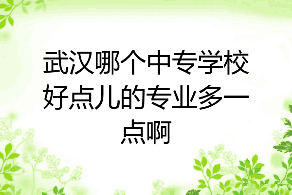 武汉哪个中专学校好点儿的专业多一点啊