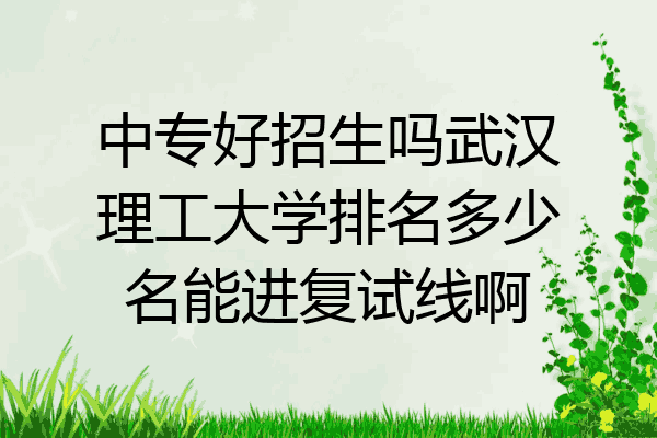 中专好招生吗武汉理工大学排名多少名能进复试线啊