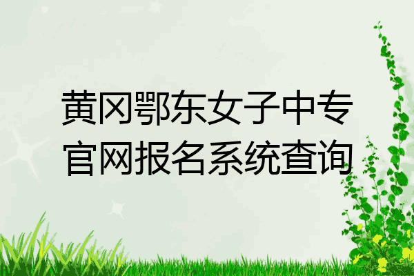 黄冈鄂东女子中专官网报名系统查询