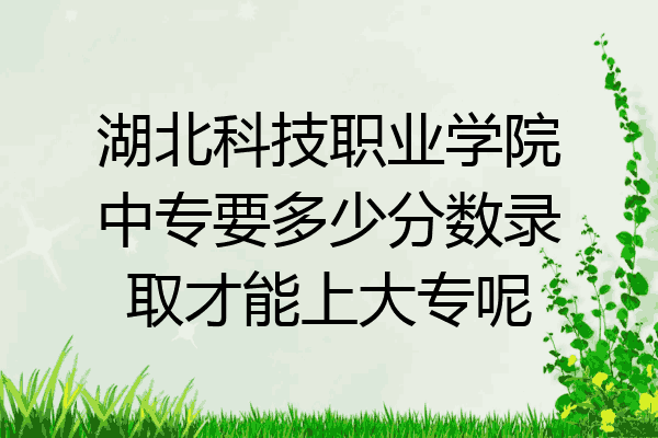 湖北科技职业学院中专要多少分数录取才能上大专呢