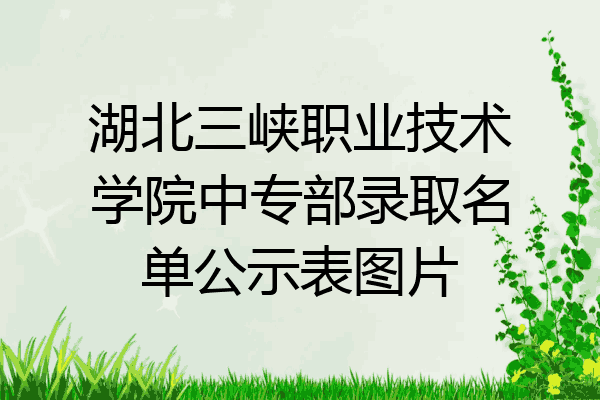 湖北三峡职业技术学院中专部录取名单公示表图片