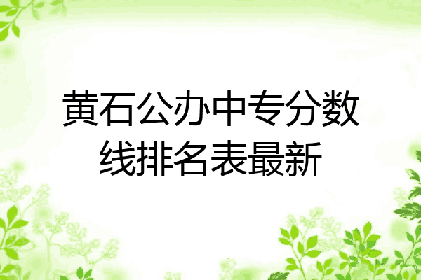 黄石公办中专分数线排名表最新