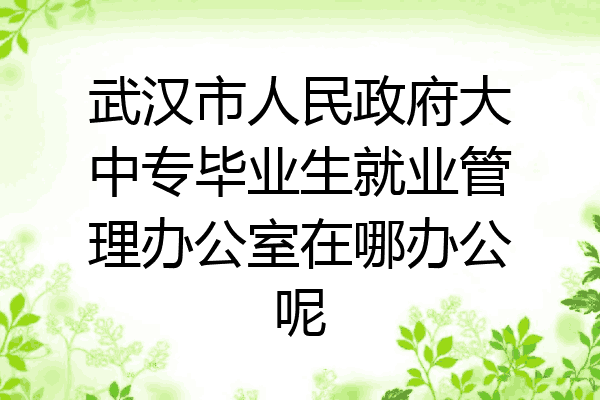 武汉市人民政府大中专毕业生就业管理办公室在哪办公呢