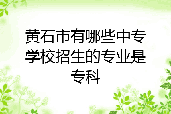 黄石市有哪些中专学校招生的专业是专科