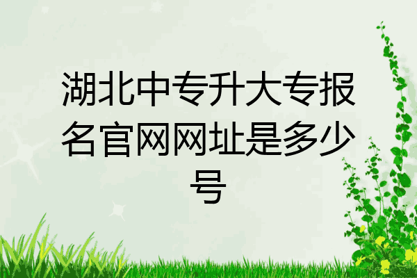 湖北中专升大专报名官网网址是多少号
