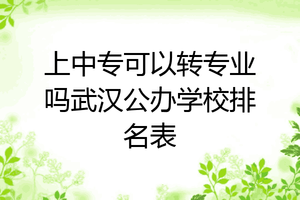 上中专可以转专业吗武汉公办学校排名表