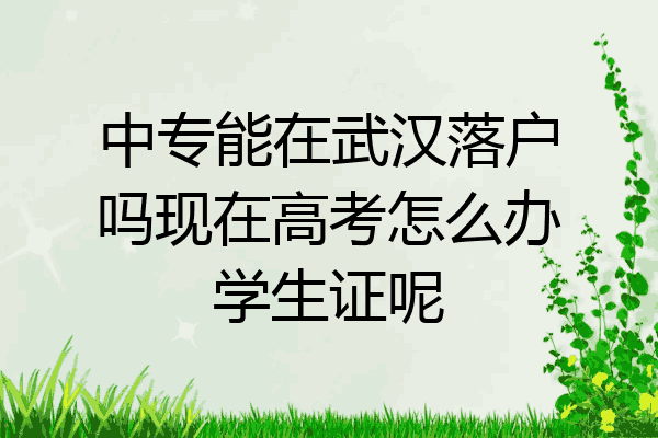 中专能在武汉落户吗现在高考怎么办学生证呢