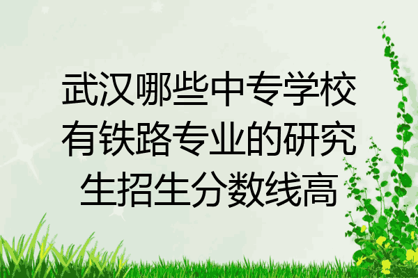 武汉哪些中专学校有铁路专业的研究生招生分数线高
