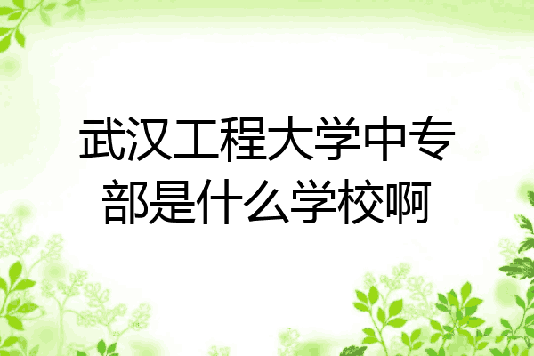 武汉工程大学中专部是什么学校啊