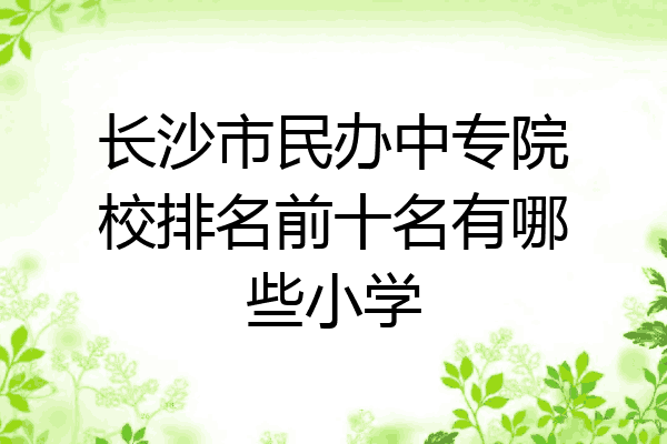 长沙市民办中专院校排名前十名有哪些小学