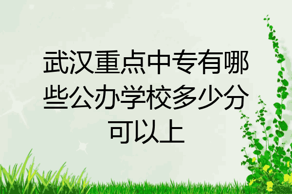 武汉重点中专有哪些公办学校多少分可以上