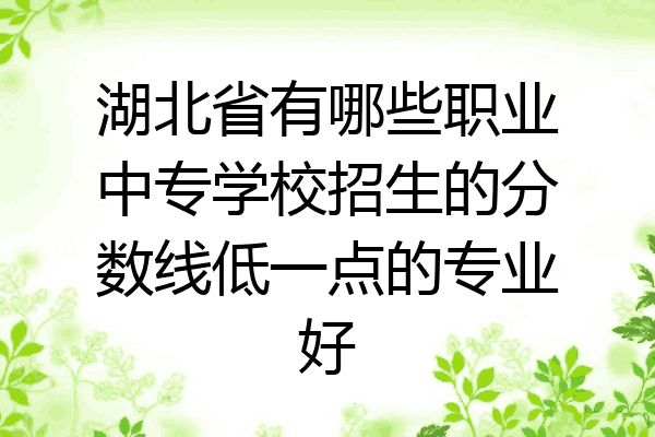湖北省有哪些职业中专学校招生的分数线低一点的专业好