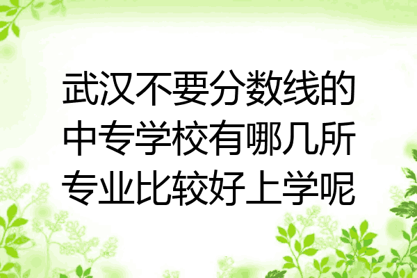 武汉不要分数线的中专学校有哪几所专业比较好上学呢