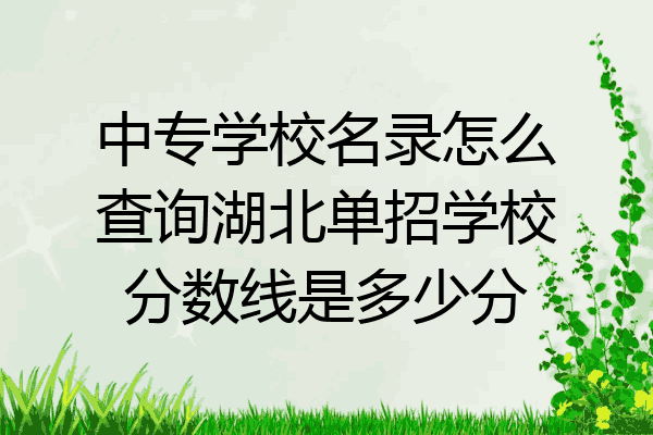 中专学校名录怎么查询湖北单招学校分数线是多少分