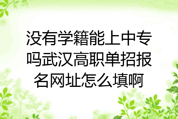 没有学籍能上中专吗武汉高职单招报名网址怎么填啊