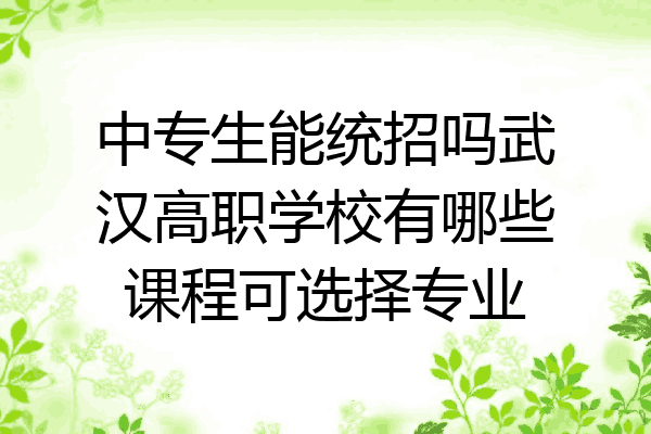 中专生能统招吗武汉高职学校有哪些课程可选择专业