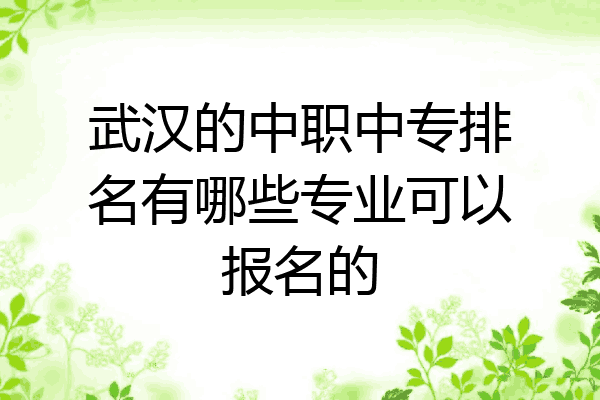 武汉的中职中专排名有哪些专业可以报名的